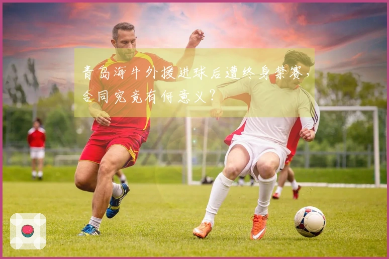 青岛海牛外援进球后遭终身禁赛，合同究竟有何意义？