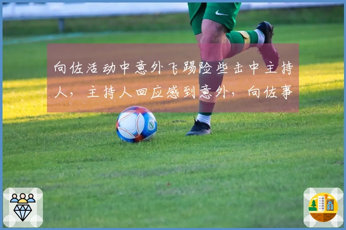 向佐活动中意外飞踢险些击中主持人，主持人回应感到意外，向佐事后致歉：回看后觉得那一脚确实吓到你了，十分抱歉